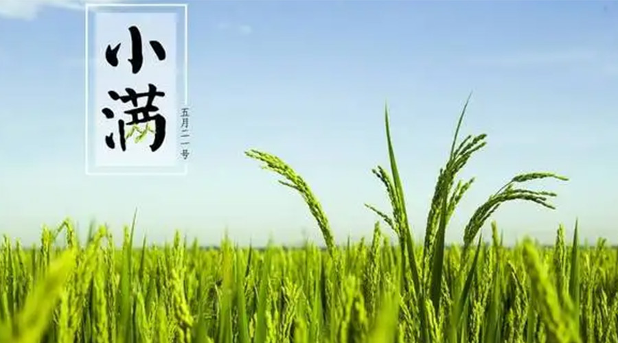 小滿時節(jié)！金環(huán)電器提醒大家要注意的事項
