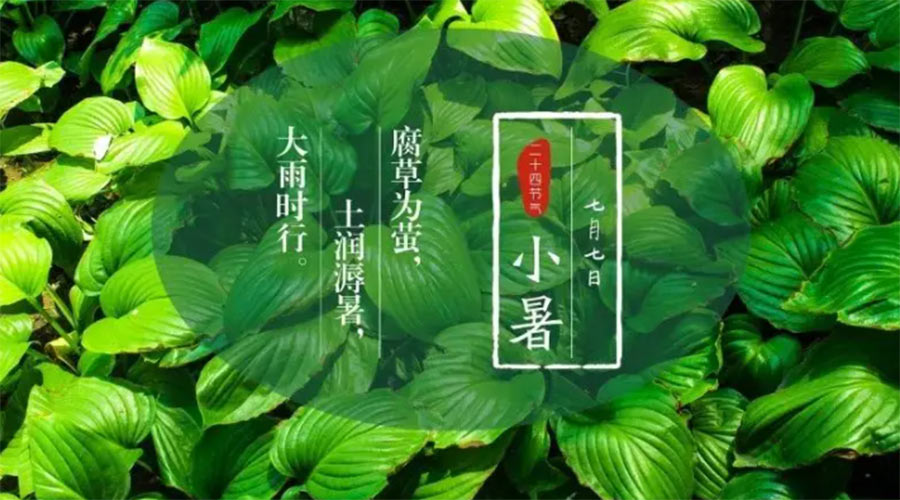 小暑時節(jié)來到！金環(huán)電器提醒大家要注意的事項